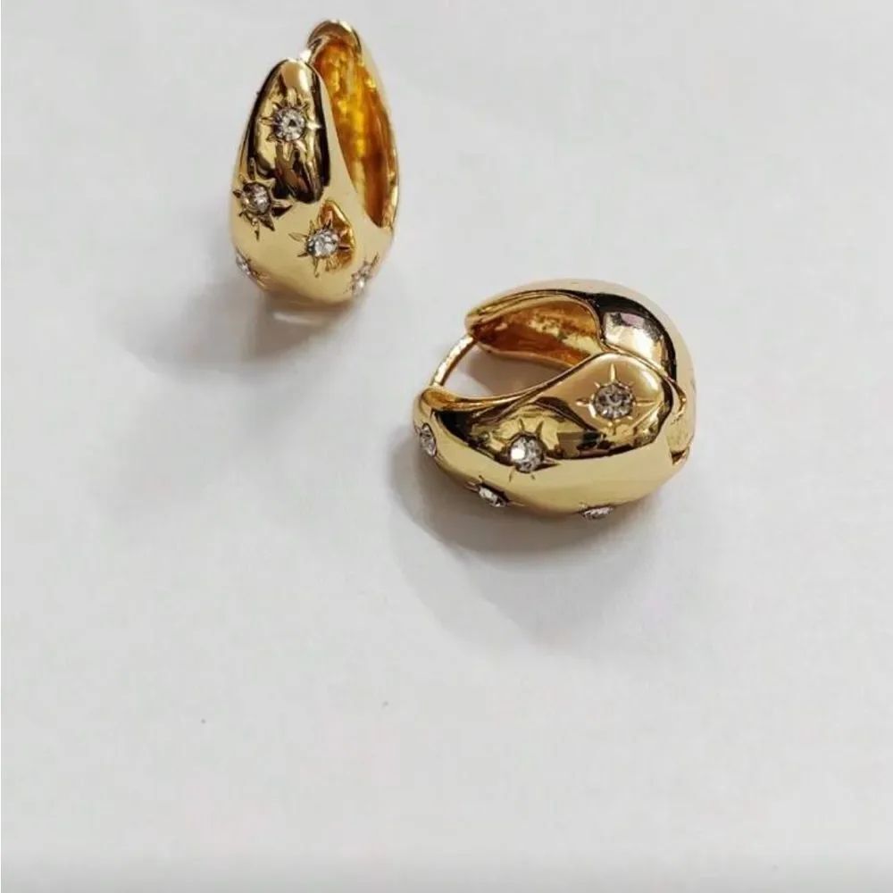 Gold Hoop Earrings Q517